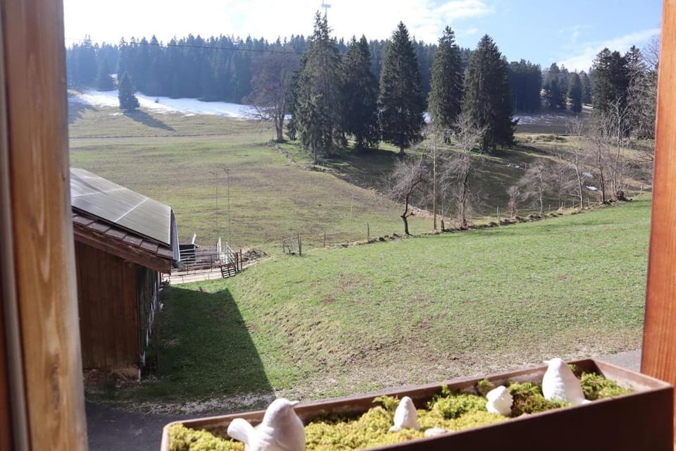View (from property/room)