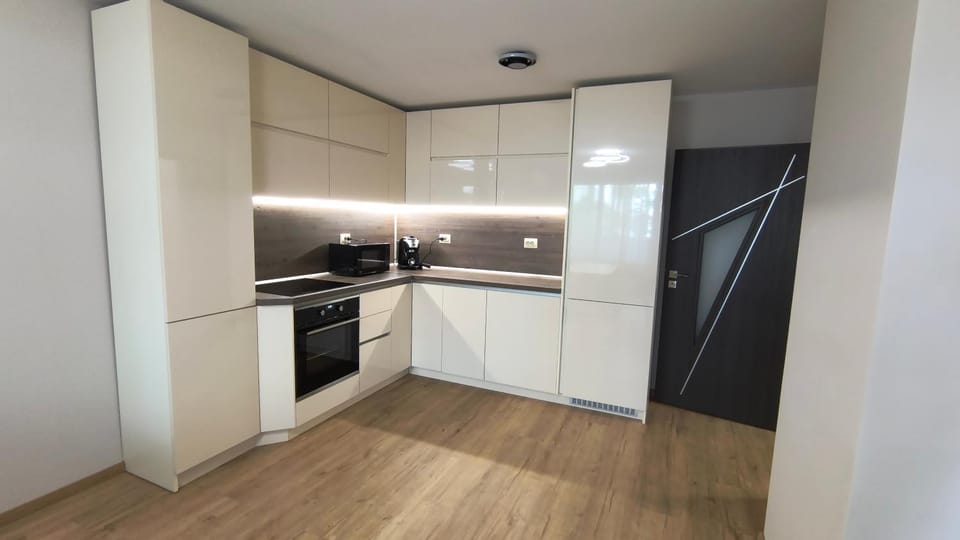 Kitchen or kitchenette, dishwasher, oven