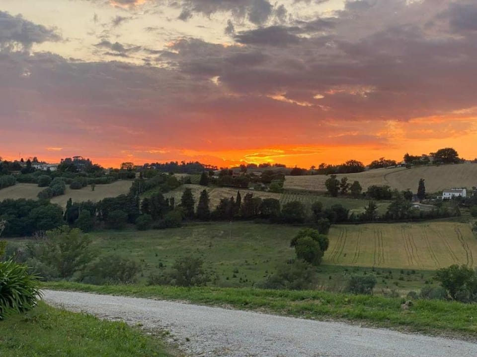 View (from property/room), Sunset