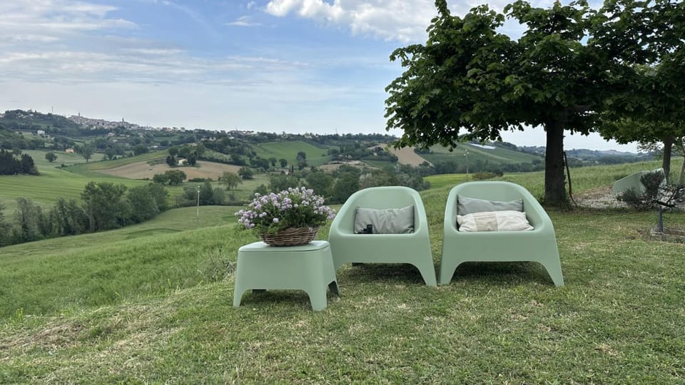 Garden, Garden, Garden view, Garden view
