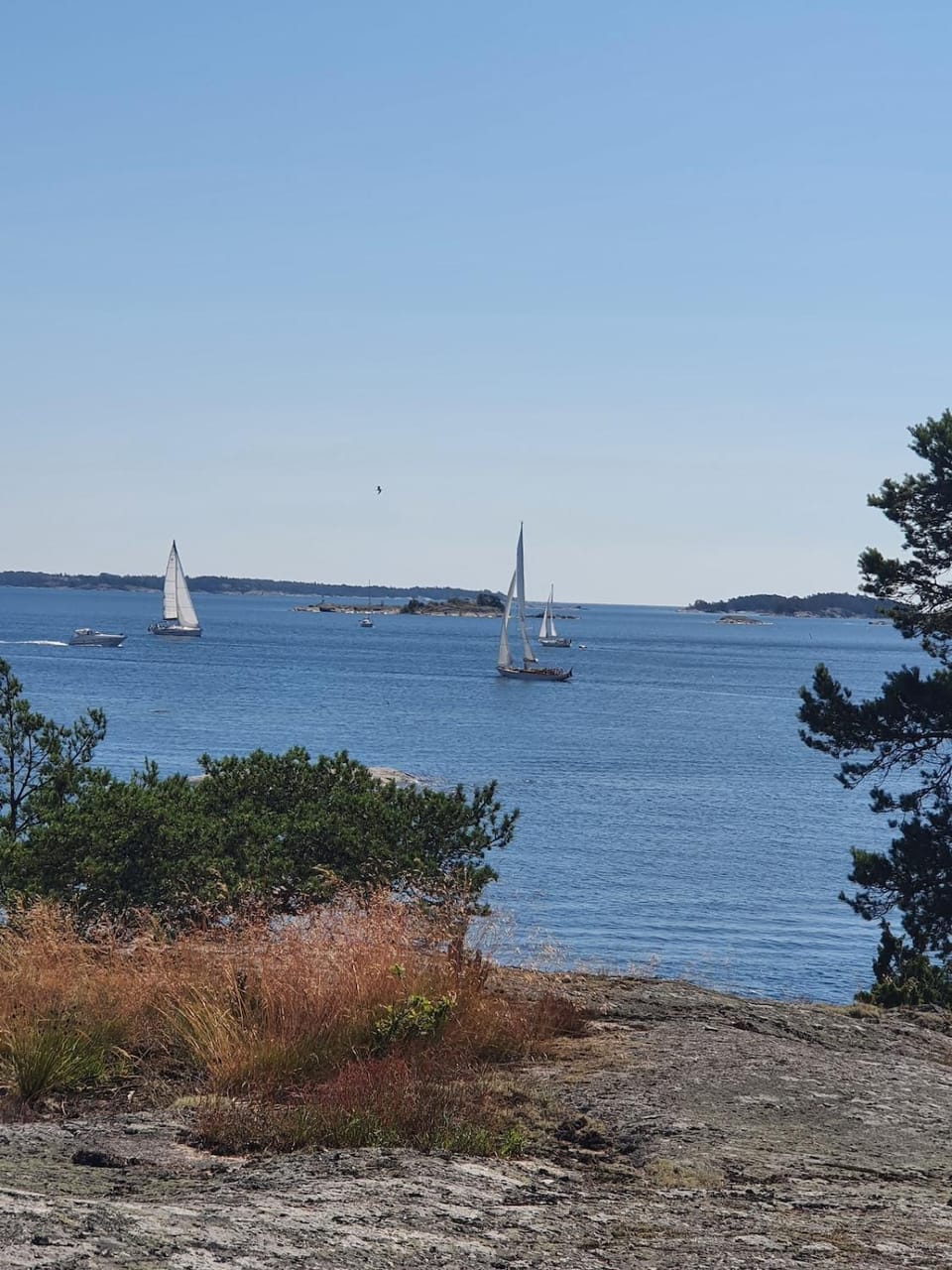 Sea view