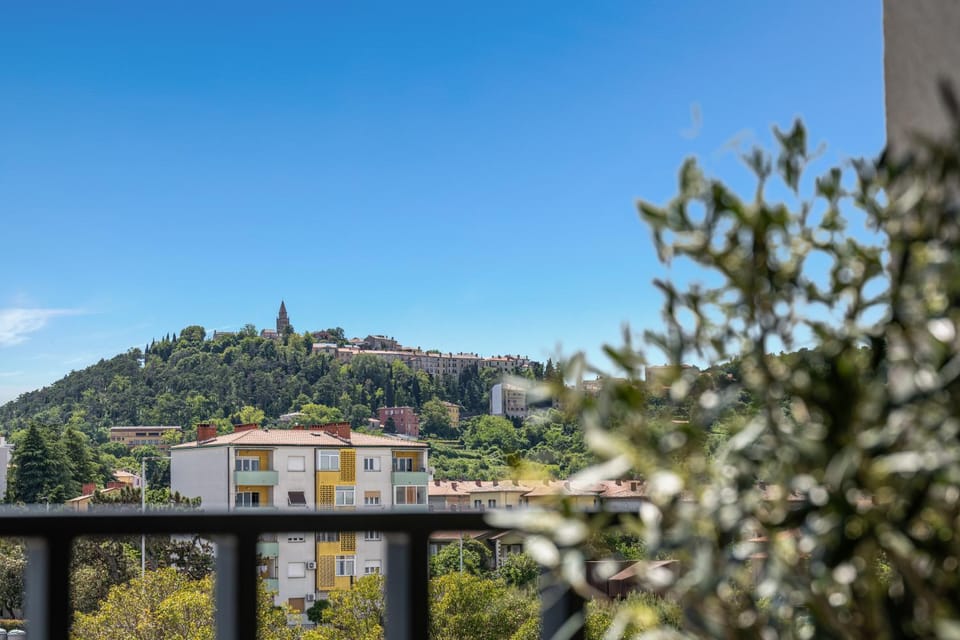 Aine Apartment in Istria County
