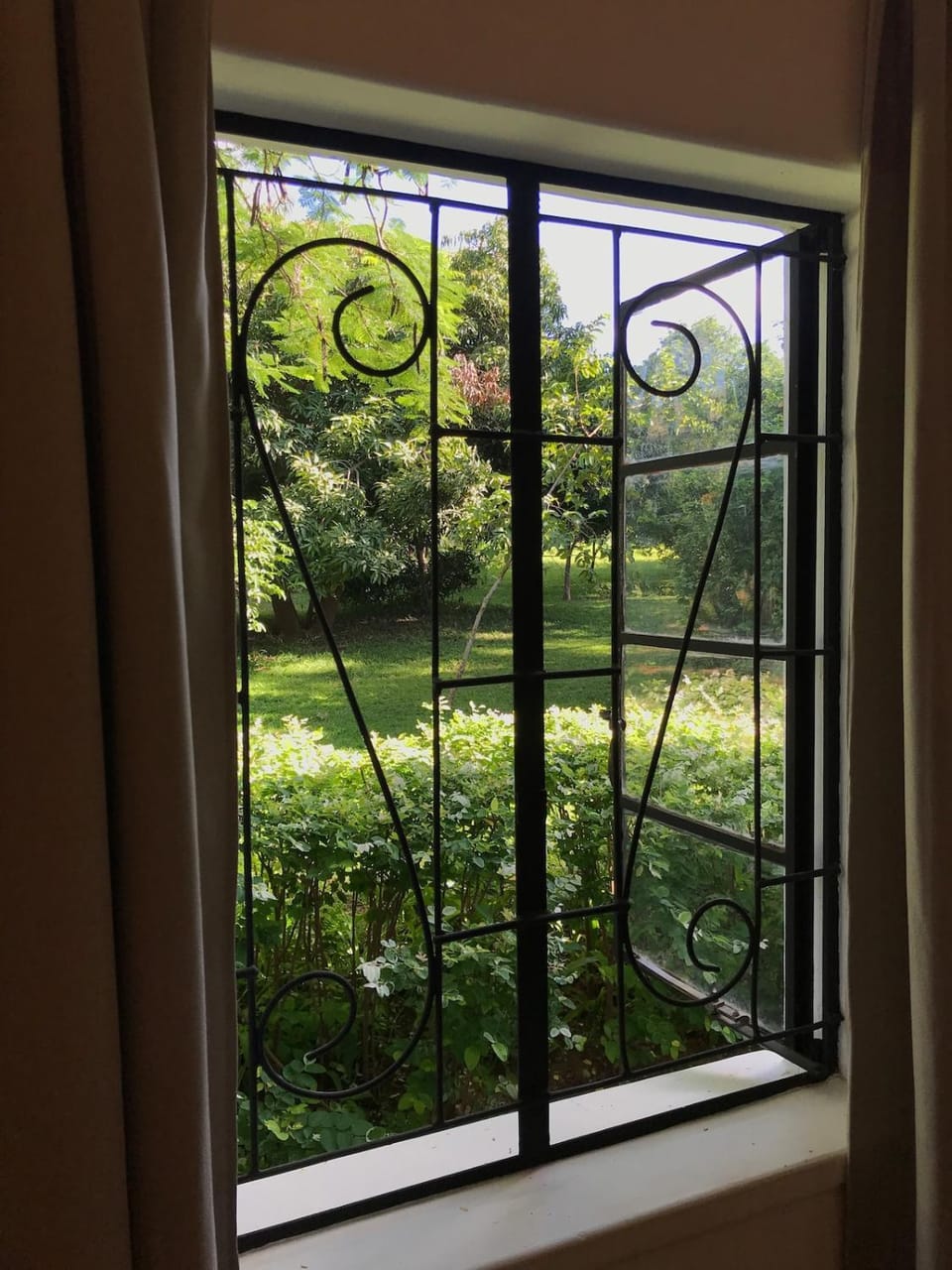 Garden view