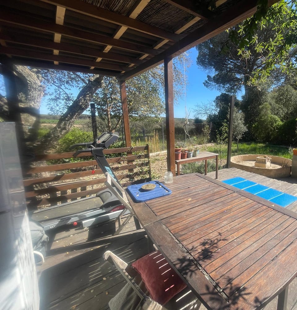 Garden, Balcony/Terrace