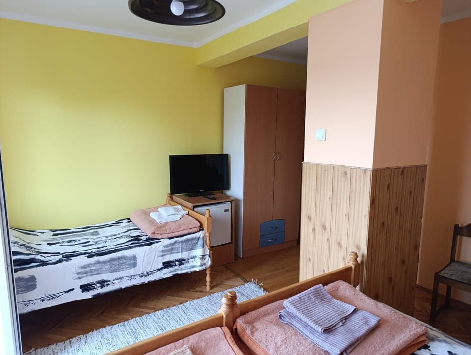 Sobe Jovanovic Apartment in Serbia