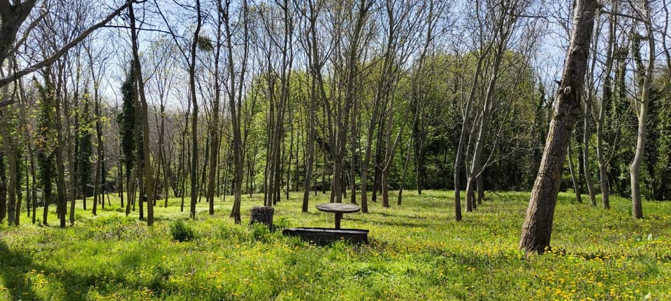 Spring, Day, Garden view