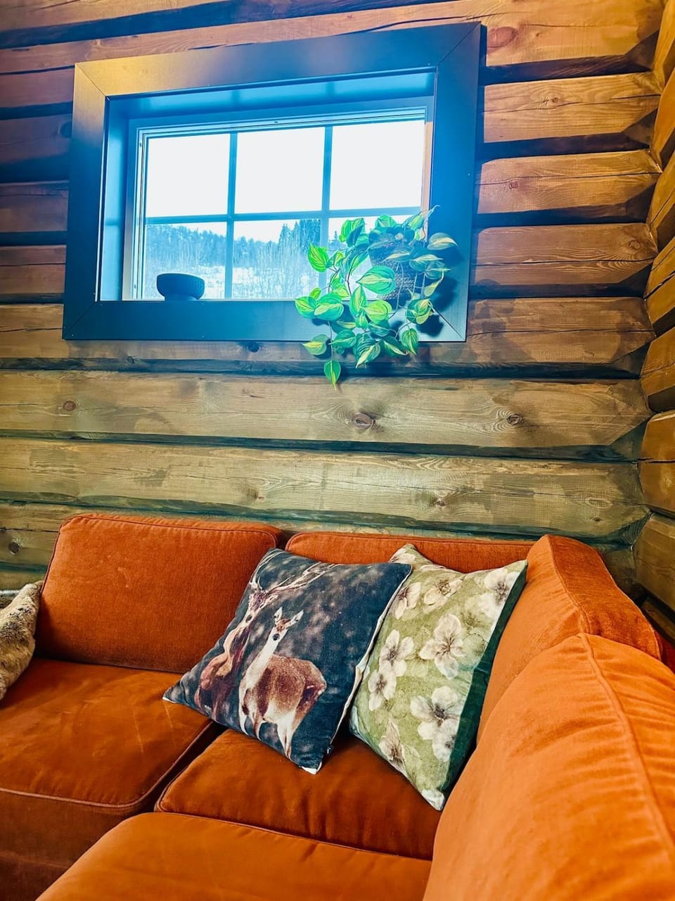 View (from property/room), Living room