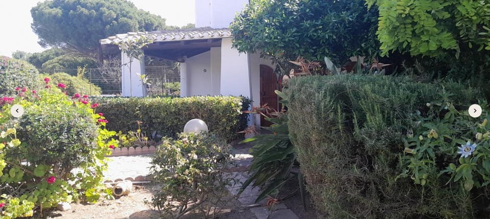 Garden, Garden view