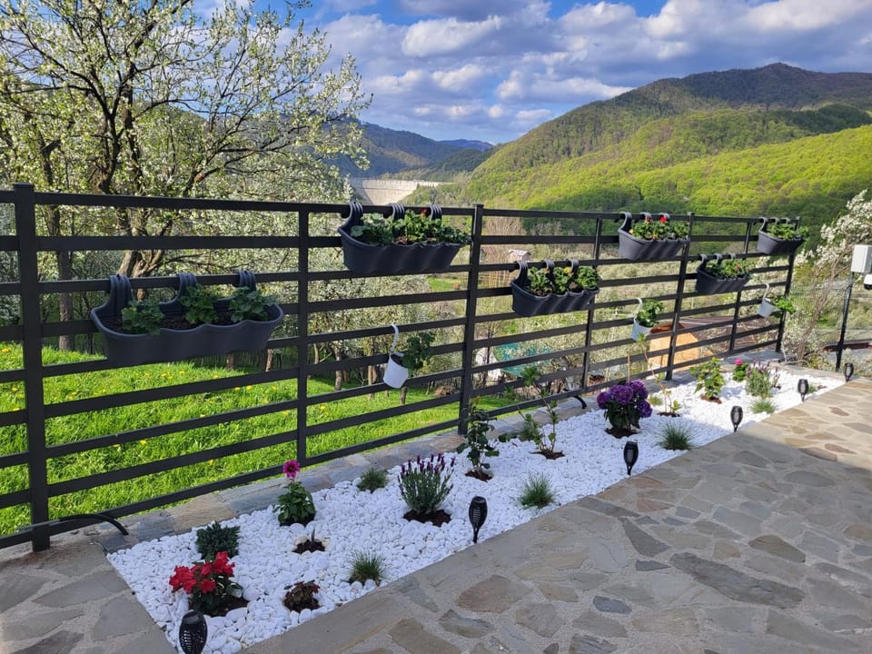 Natural landscape