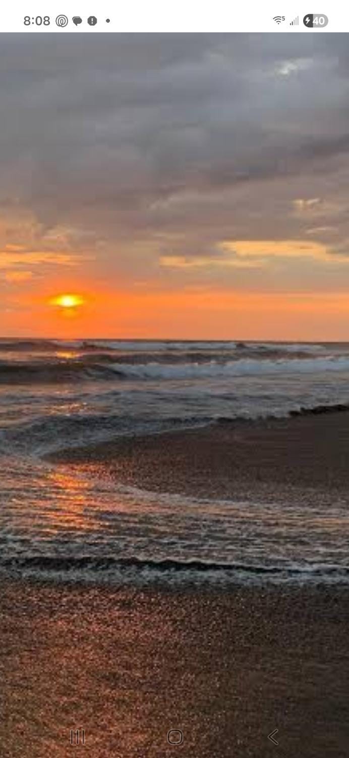 BUTTERFLY BLISS RV SPOTS FOr RENT Campground/ 
RV Resort in Bolivar Peninsula