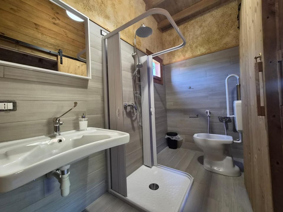 Shower, Toilet, Bathroom, bidet