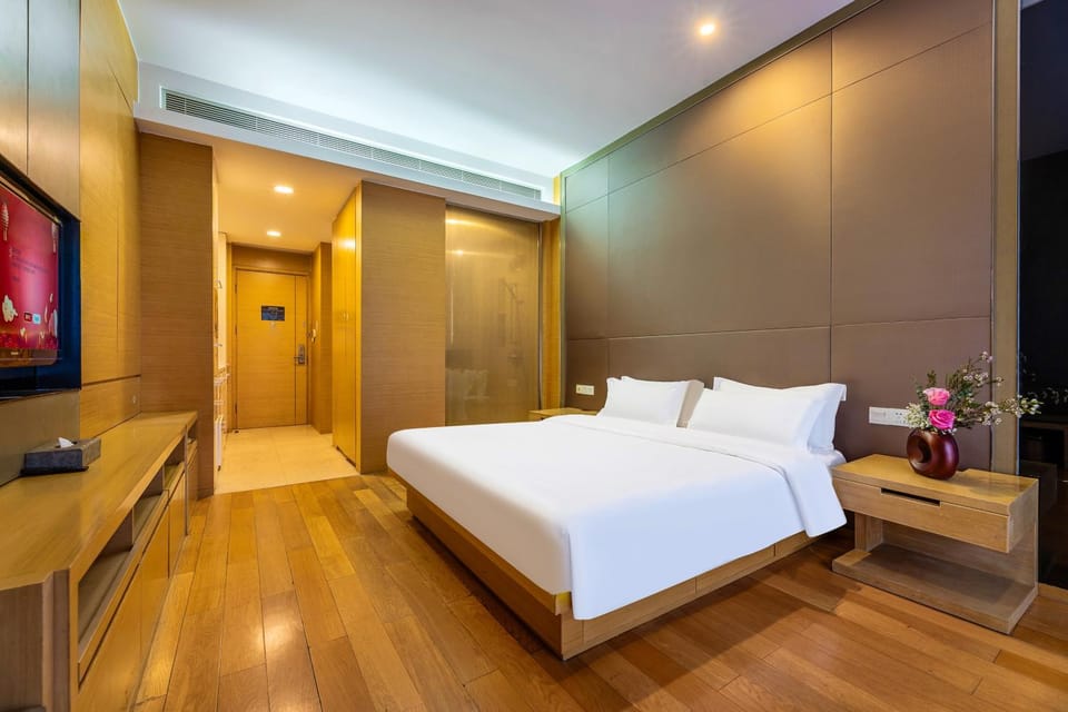 Bed, TV and multimedia, Photo of the whole room