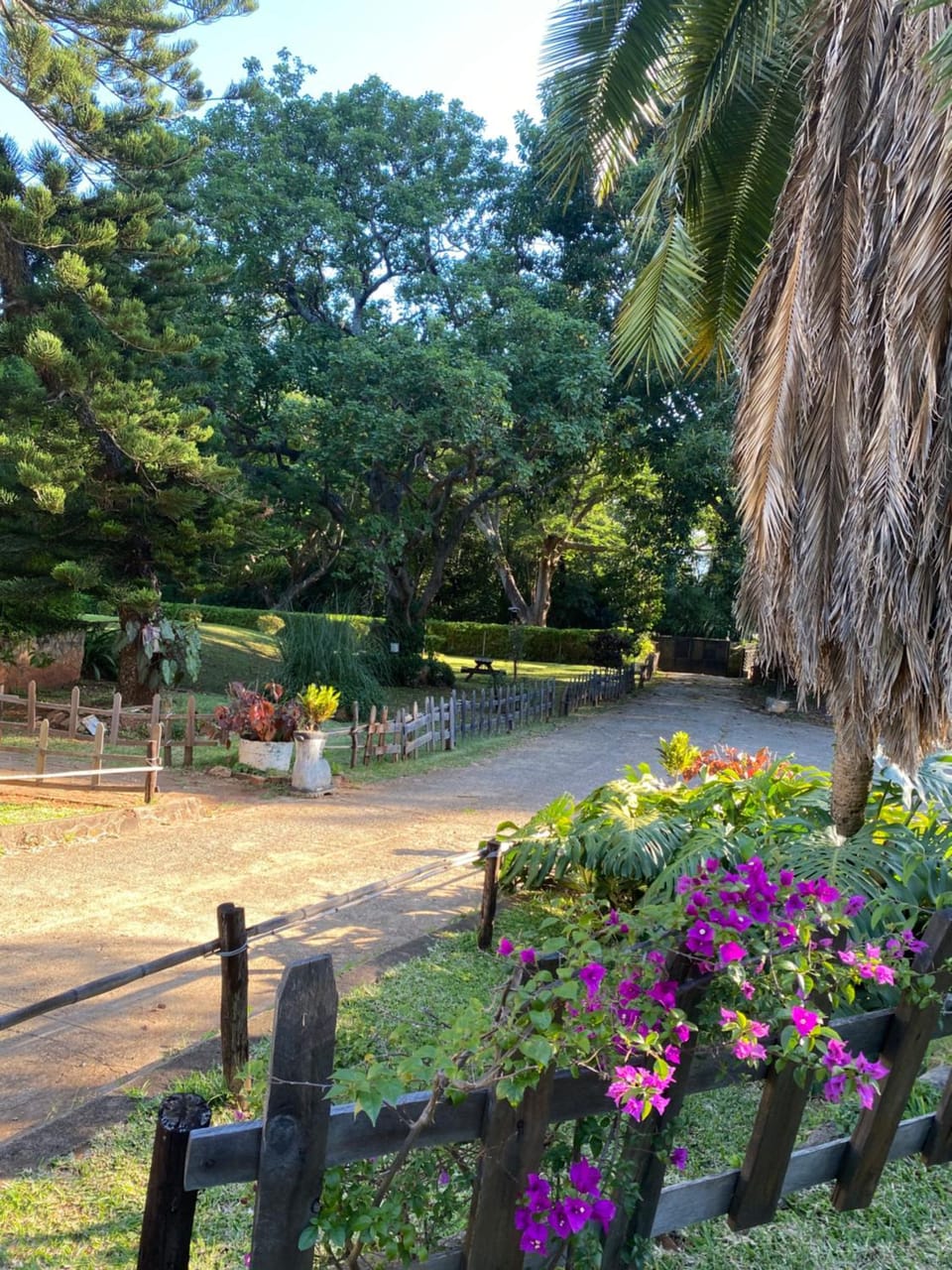 Natural landscape, Garden, Garden view