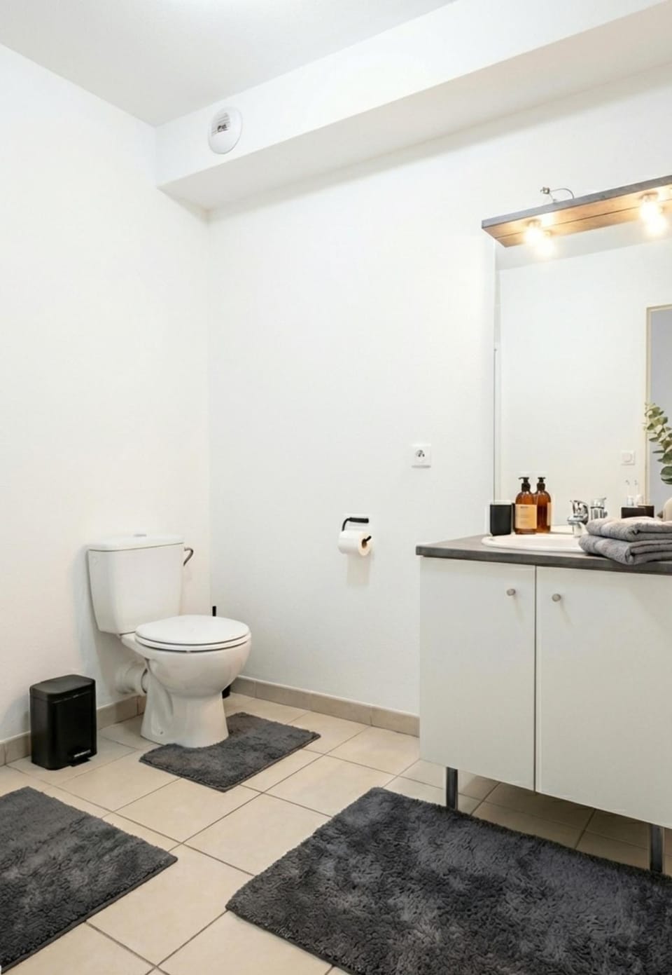 Toilet, Bathroom