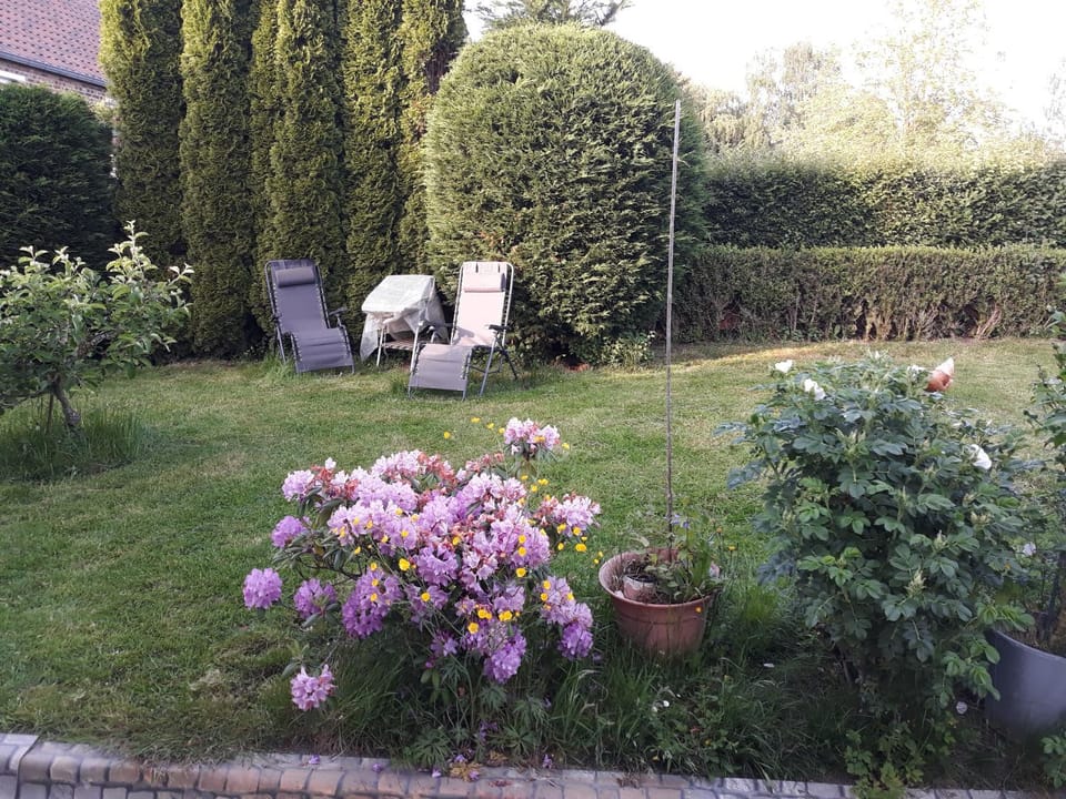 BBQ facilities