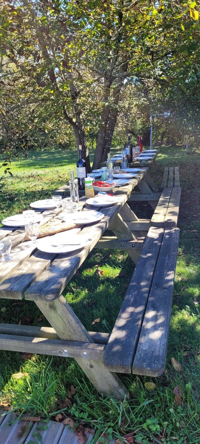 Day, Natural landscape, Garden, group of guests