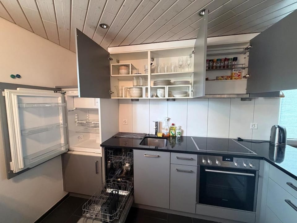 Modern apartment with garden Apartment in Aargau, Switzerland