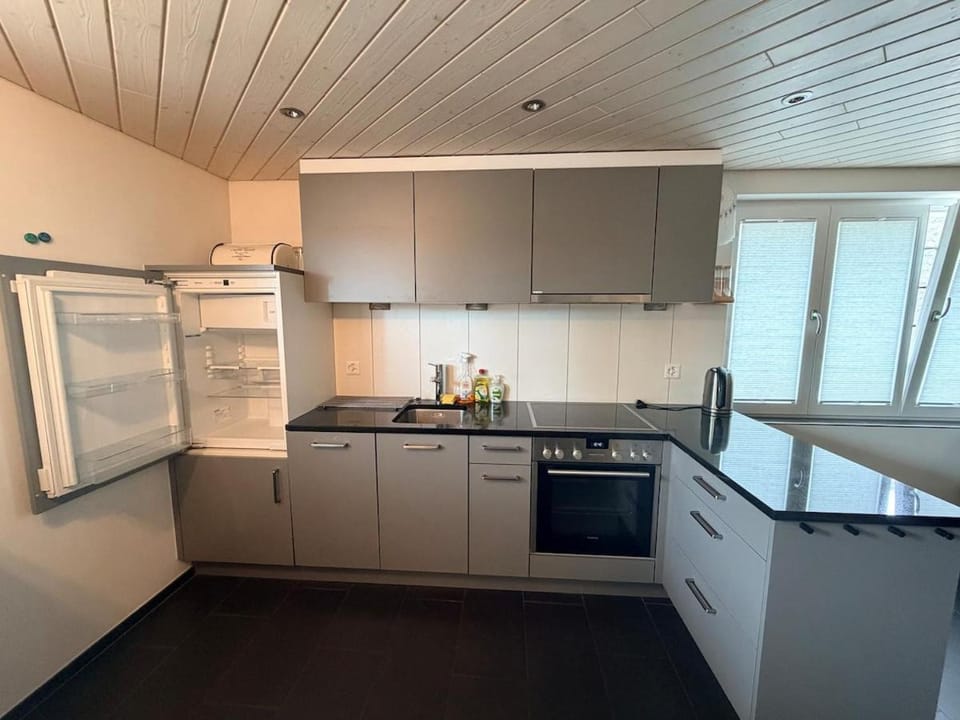 Modern apartment with garden Apartment in Aargau, Switzerland