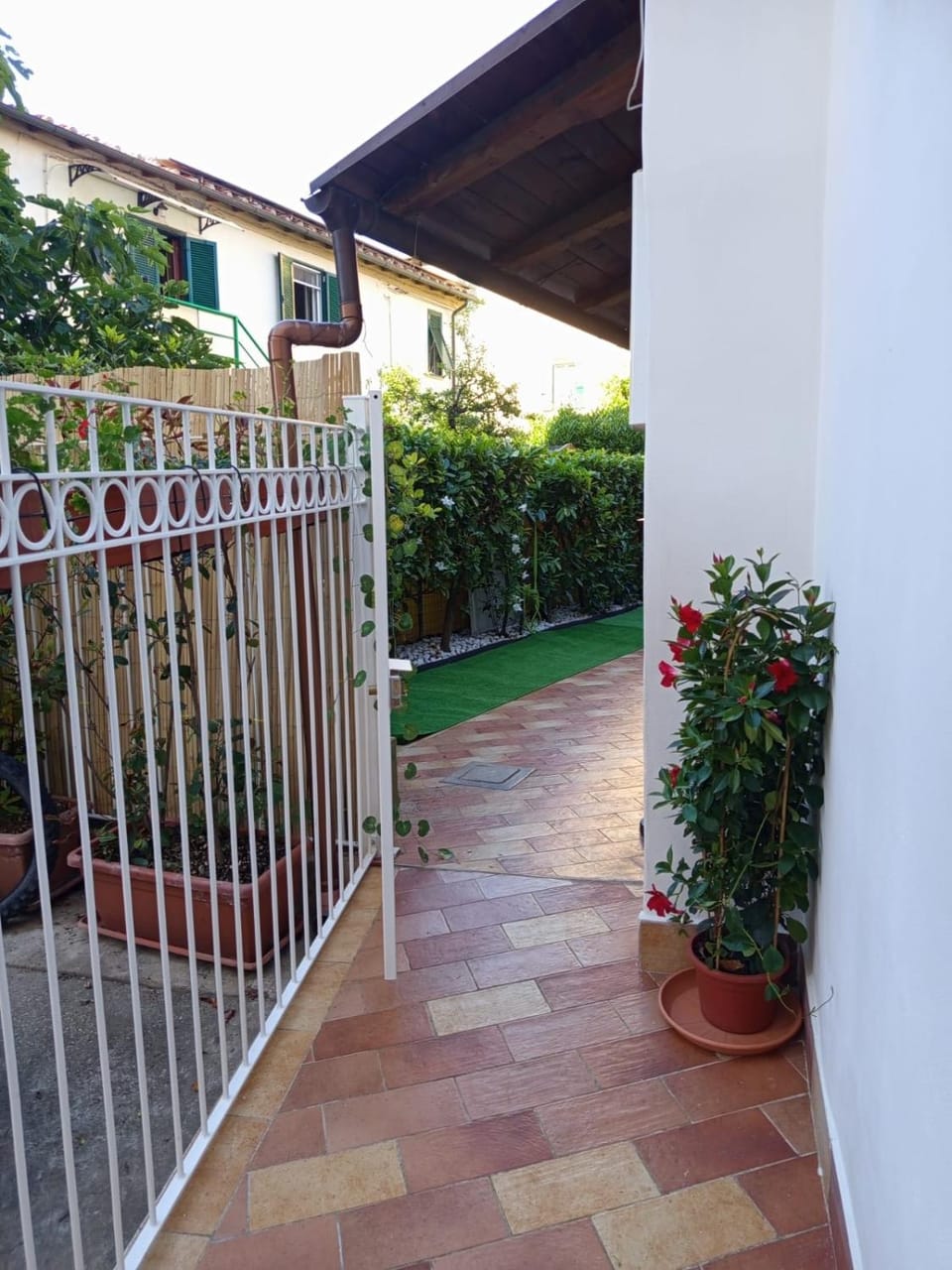 Garden view