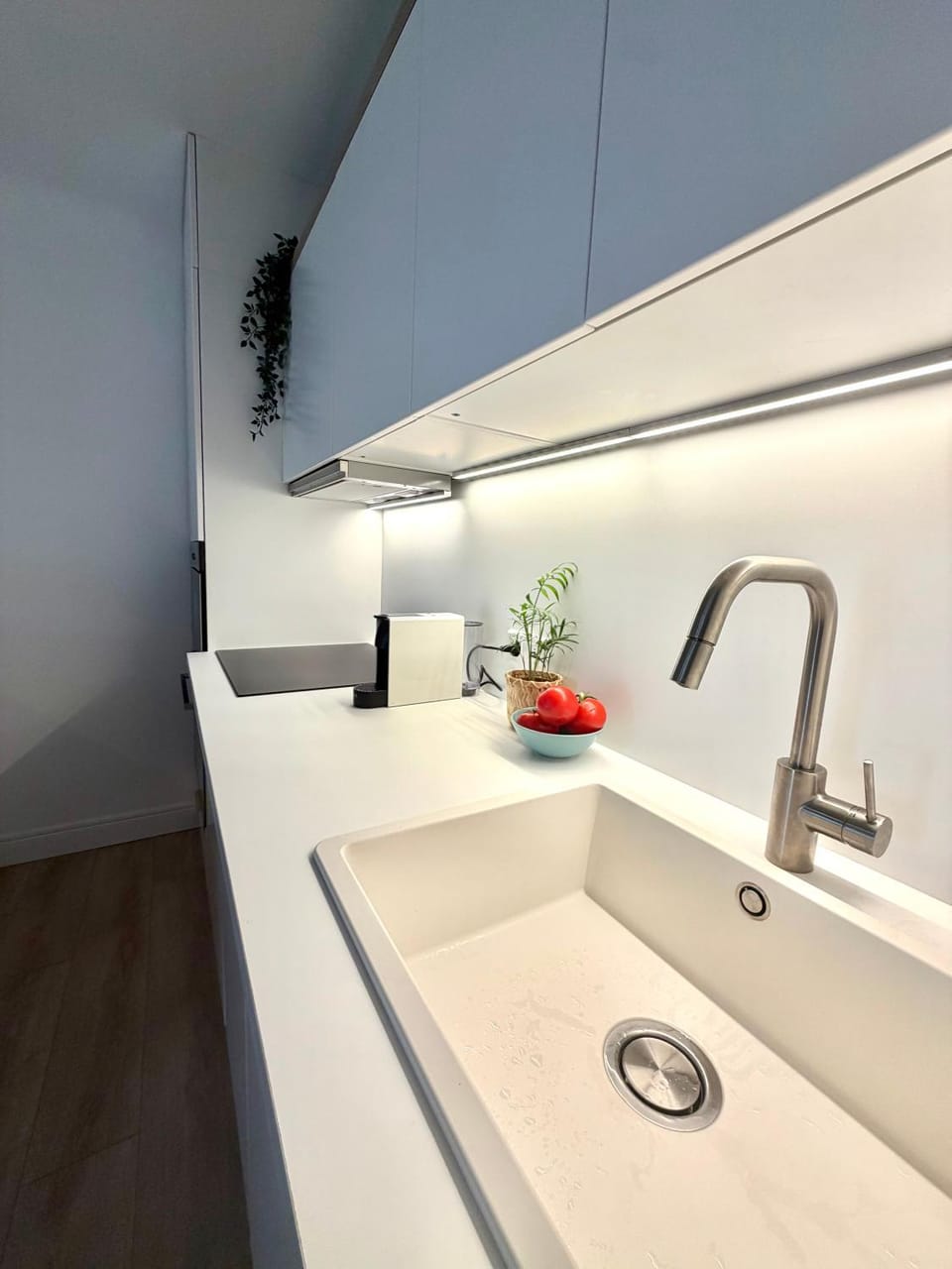 Appartement Napoleon Apartment in Nice