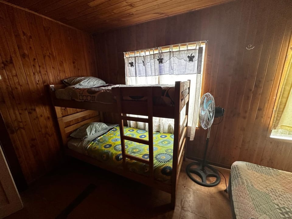 Hostal Palguin 261 Hostel in Pucon