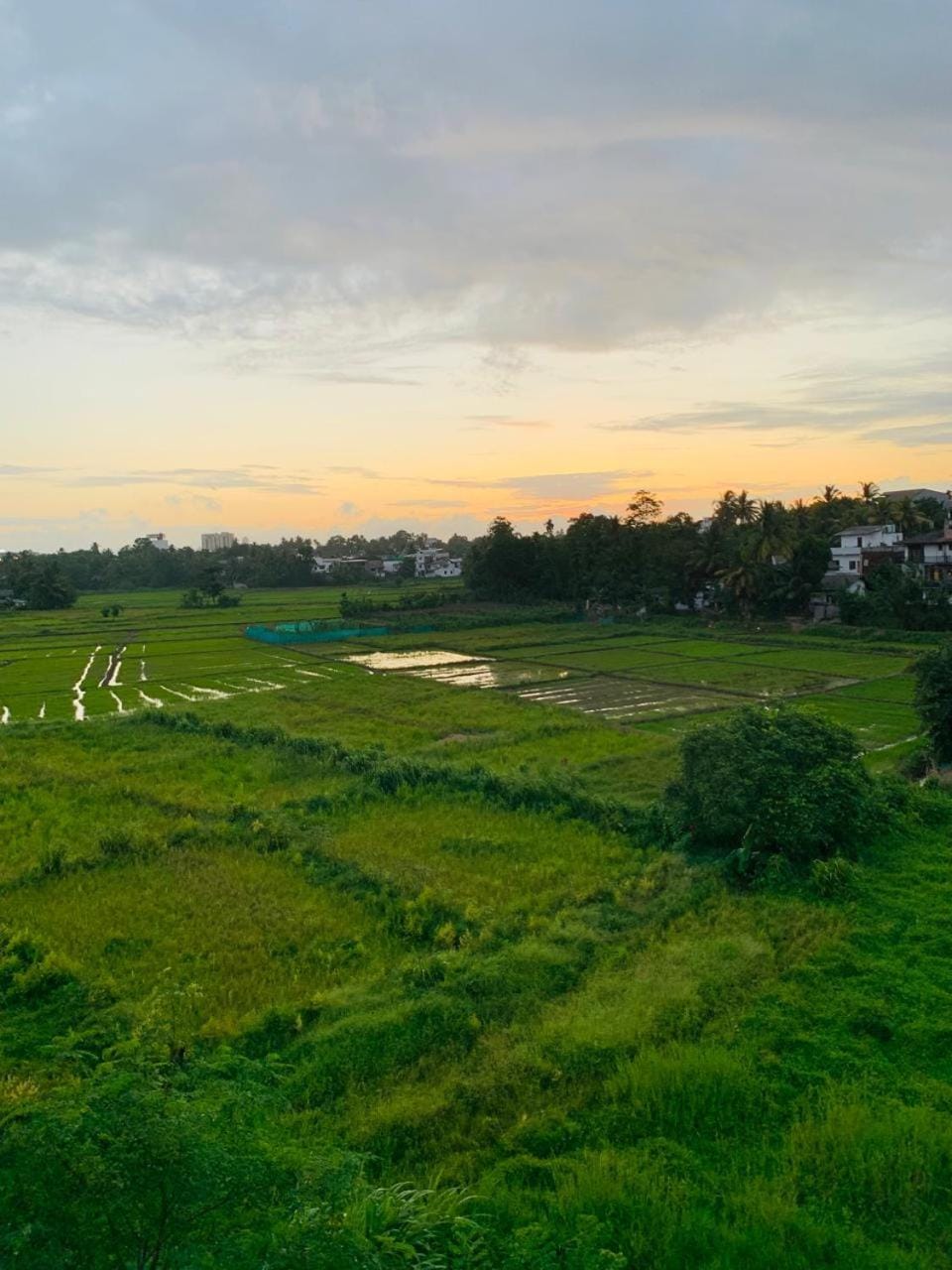 Paddy Field Home - Malabe Bed and Breakfast in Western Province