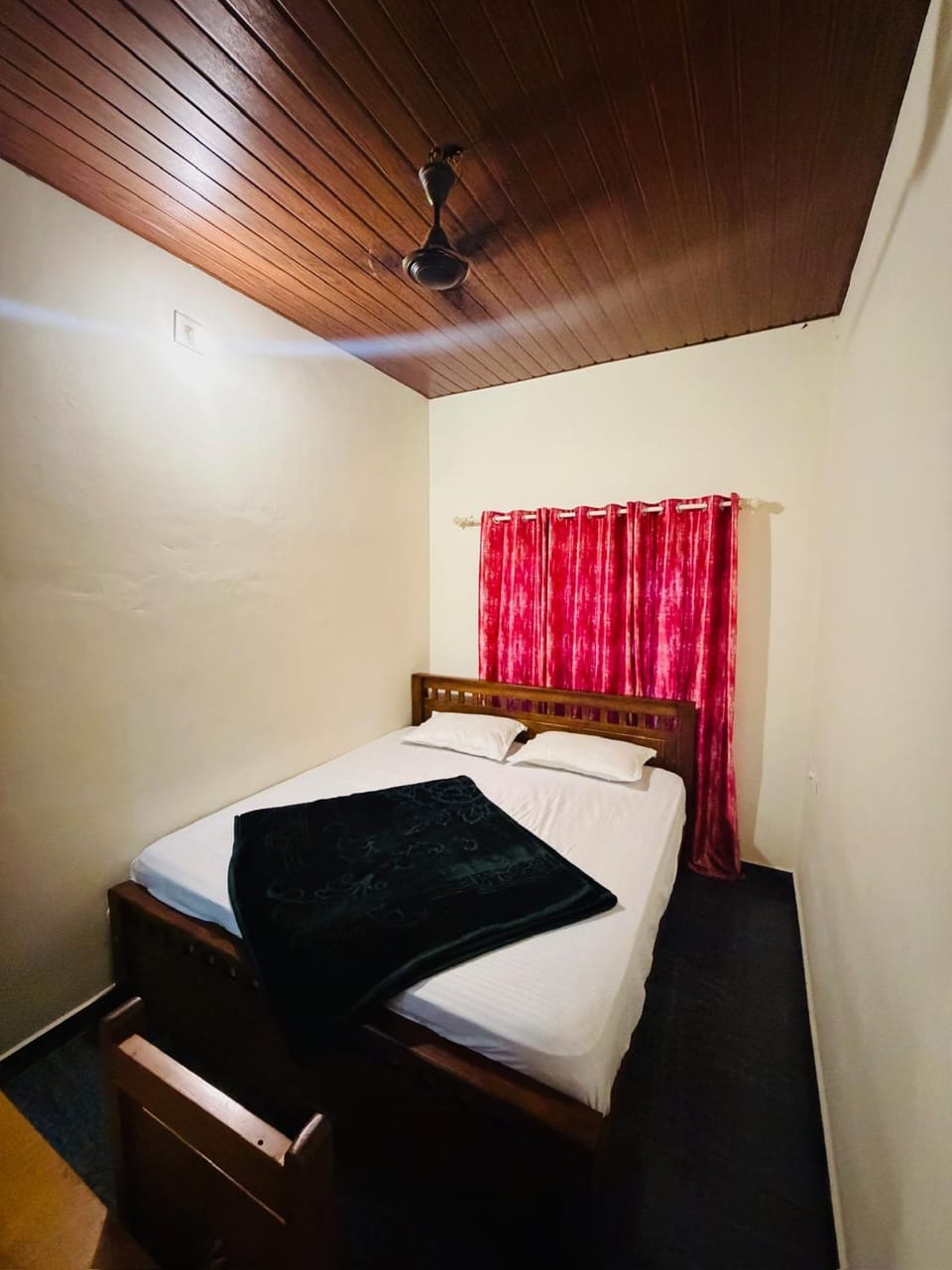 Palm paradise House in Kerala