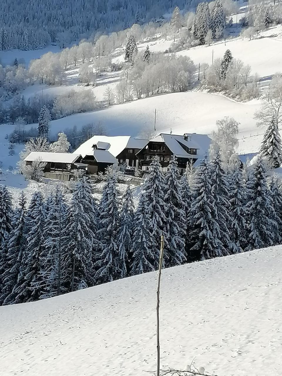 Surtmannhof Bed and Breakfast in Carinthia, Austria