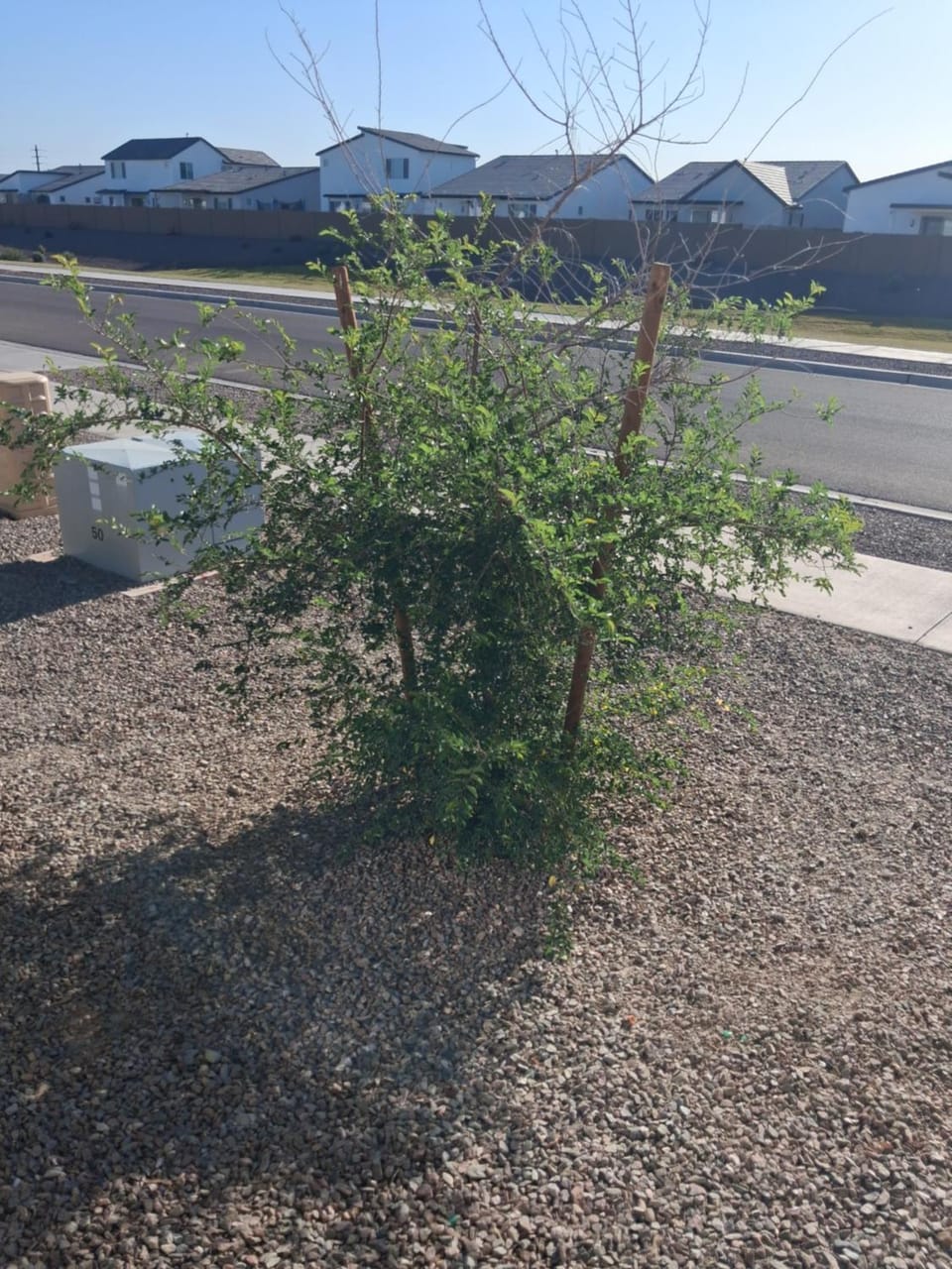 Nubian Family ROOTS bed & breakfast Bed and Breakfast in Laveen Village