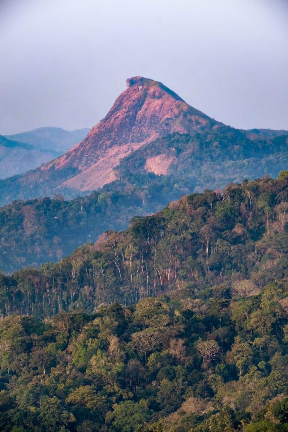 Grace Inn Homestay Munnar Vacation rental in Kerala