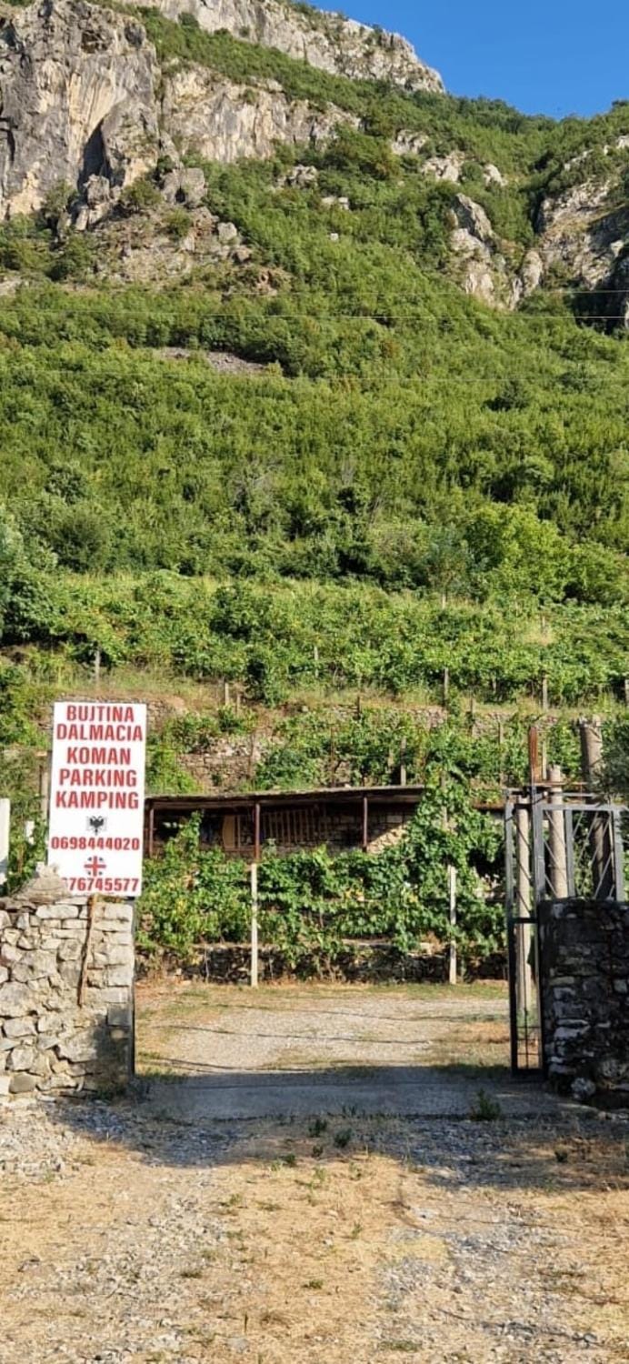Bujtina Dalmacia Bed and Breakfast in Montenegro
