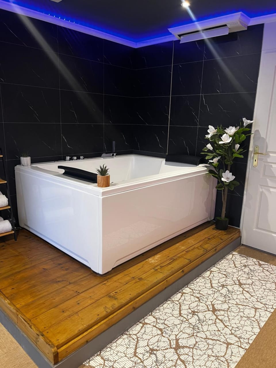 Secret room Apartment in Tours