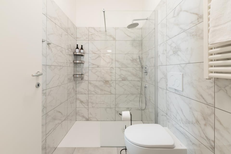 Shower, Toilet, Bathroom, towels