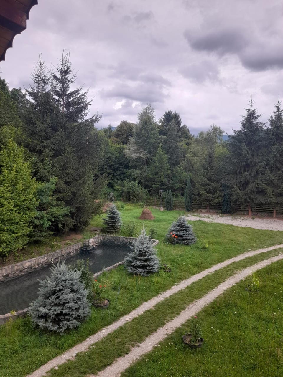Cabana Andrea Bed and Breakfast in Romania