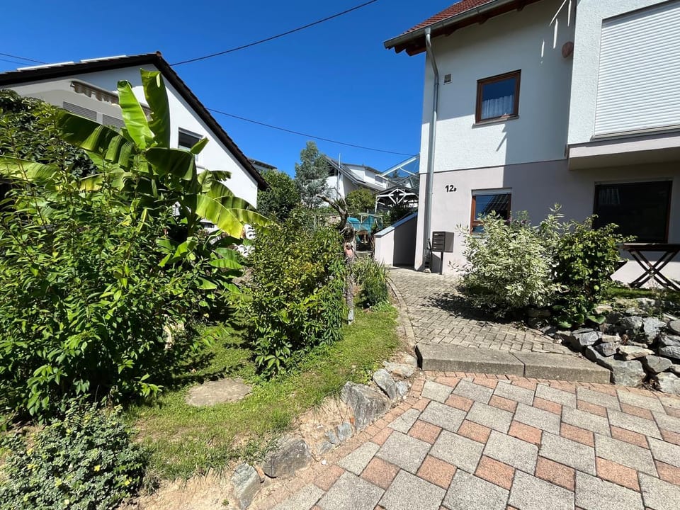 Spring, Day, Garden view, Street view