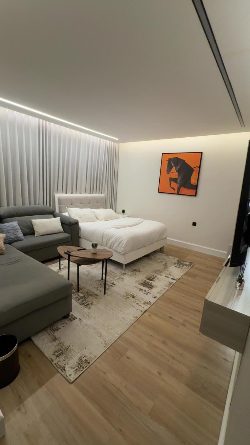 Bed, Living room, Photo of the whole room, Seating area, Bedroom