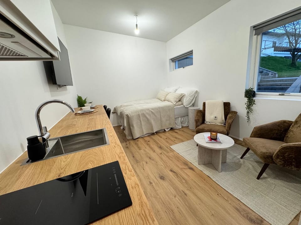 Bed, TV and multimedia, Kitchen or kitchenette, Living room, Photo of the whole room, Seating area
