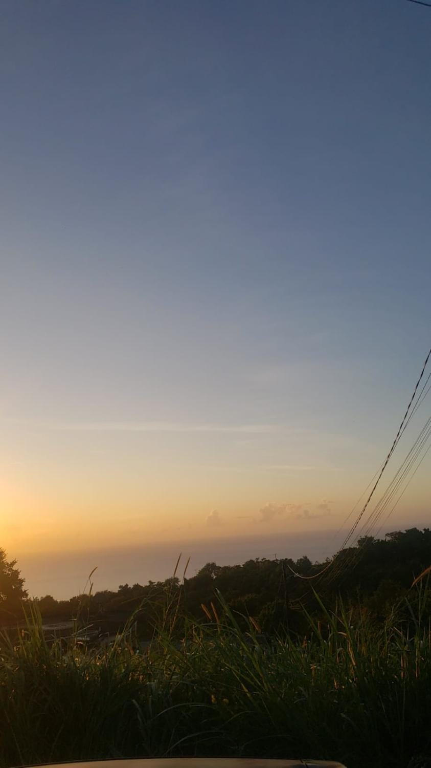 Rhainedrops Holiday Inn Apartment in Dominica