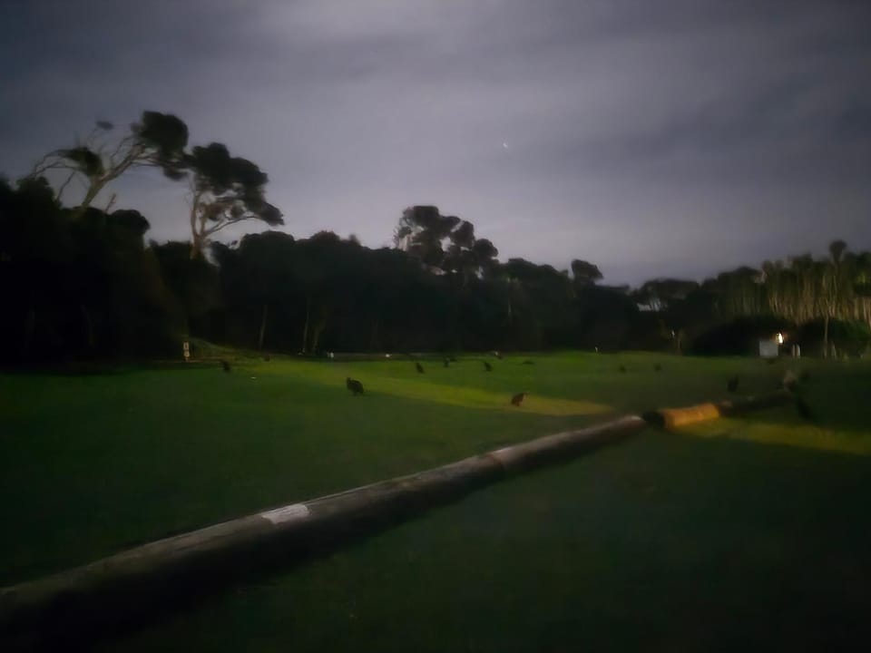 East Beach Tourist Park Campground/ 
RV Resort in Low Head