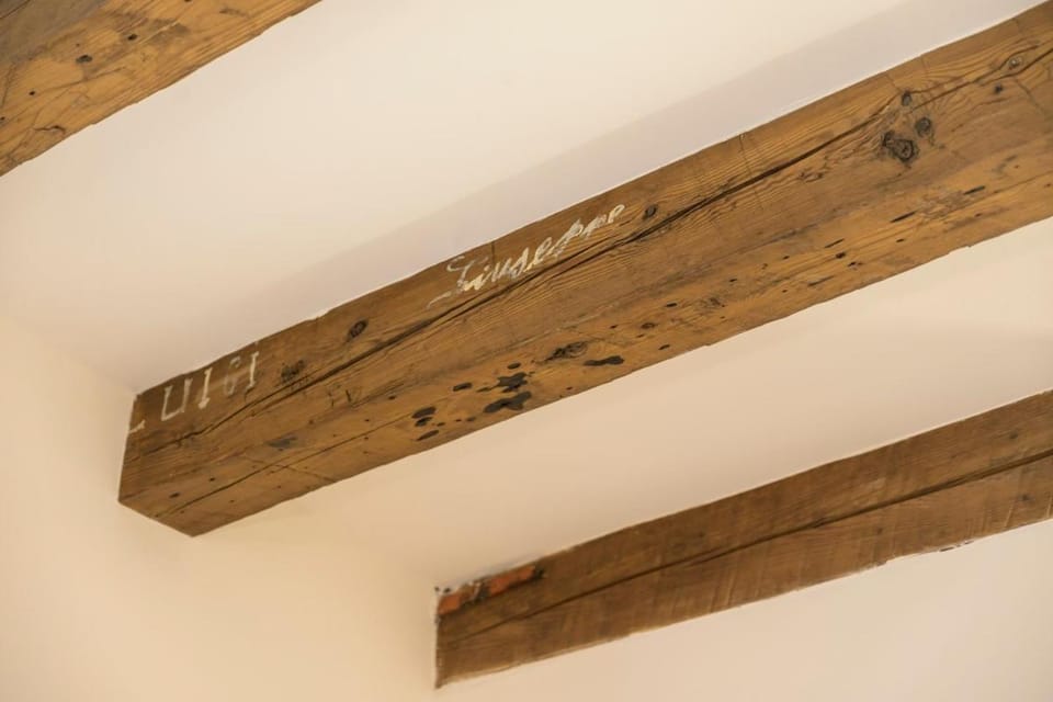 Modern Comfort in the Heart of Bologna - BeMyHost Apartment in Bologna