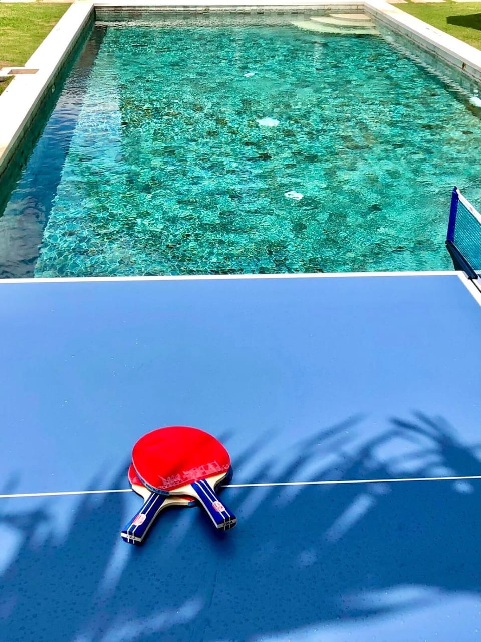 Table tennis, Swimming pool, Swimming pool