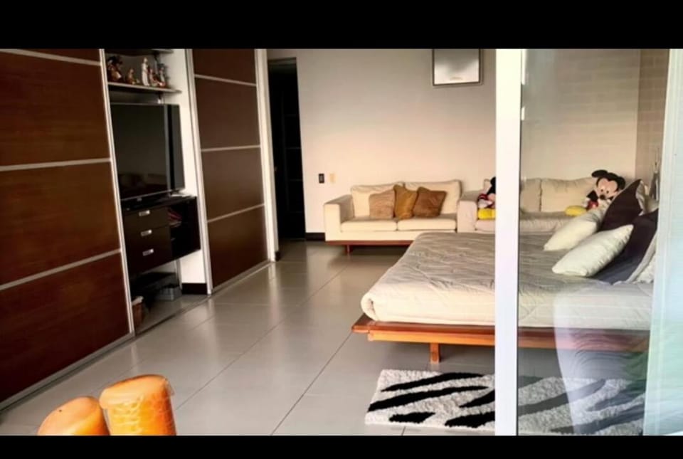 Un Sueño Apartment in Mendoza