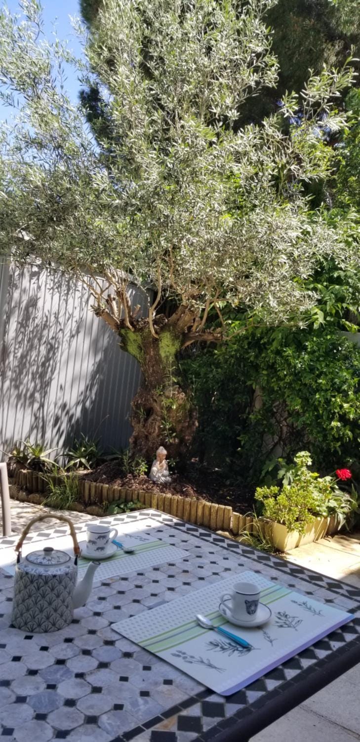 Maison lumineuse avec grande terrasse en bois et jardin House in Mauguio