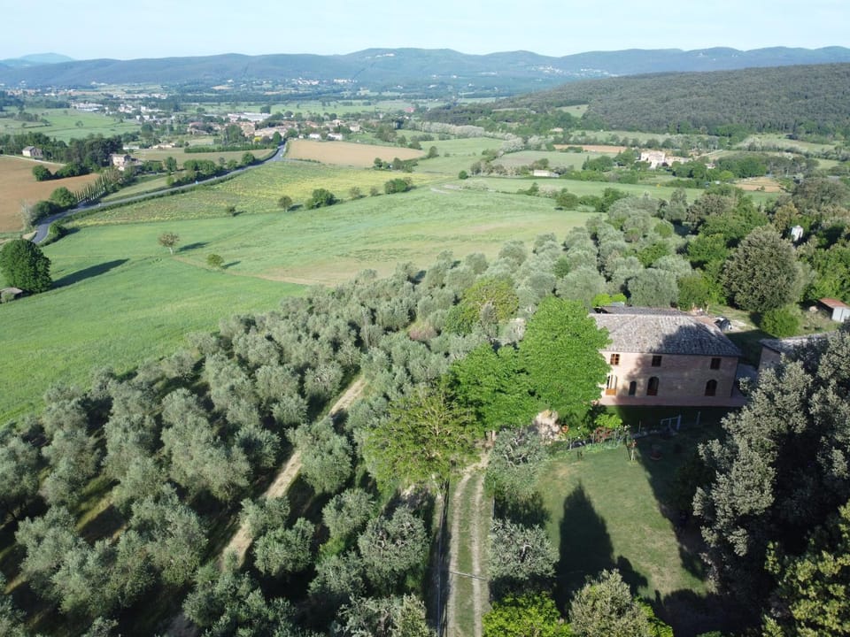 Agriturismo panoramico a Siena Al Chiaro di Luna Apartment in Tuscany