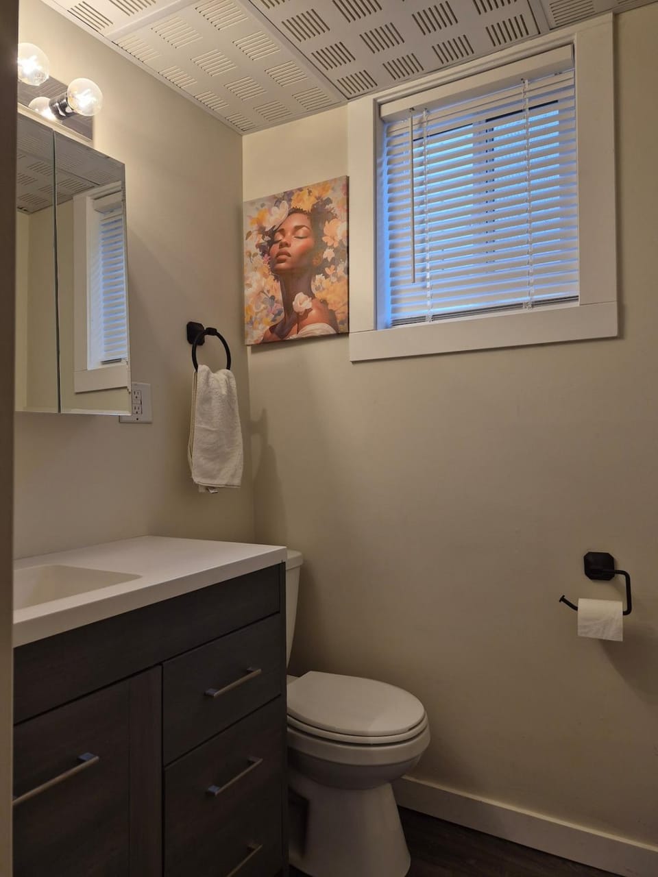 Bright and Cozy Private Suite Near Airport Apartment in Regina