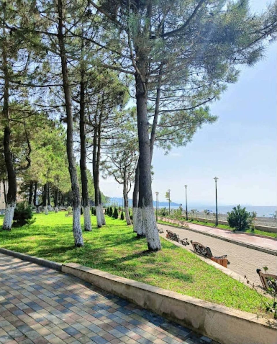 Sea view