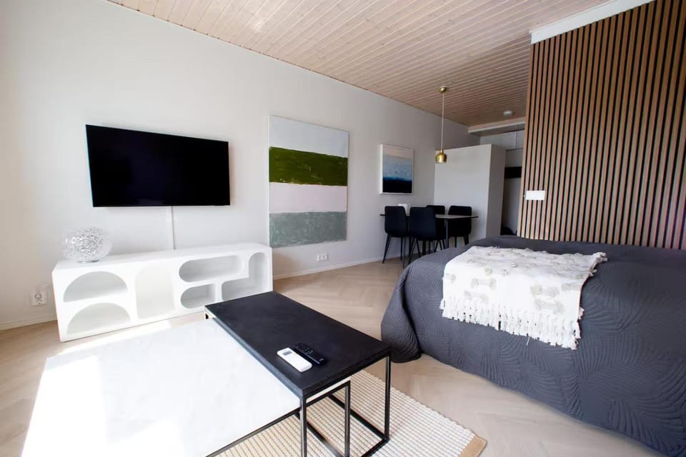 Olavinlinna Design Suite - Renovated, AC, Wifi Apartment in Finland