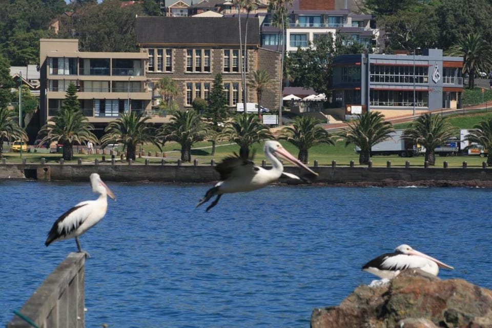 As You Like It BnB Seaside Haven Apartment in Kiama