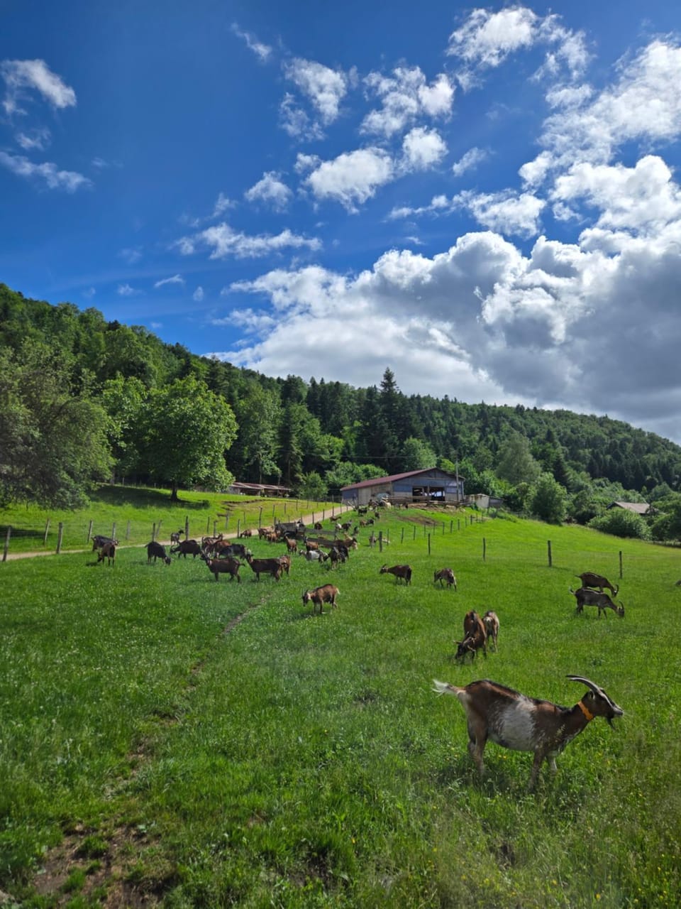 Le temps d'une pause bed and breakfast Bed and Breakfast in Vosges