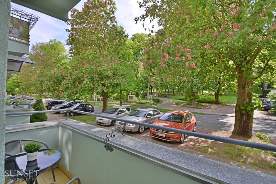 Spring, Day, Location